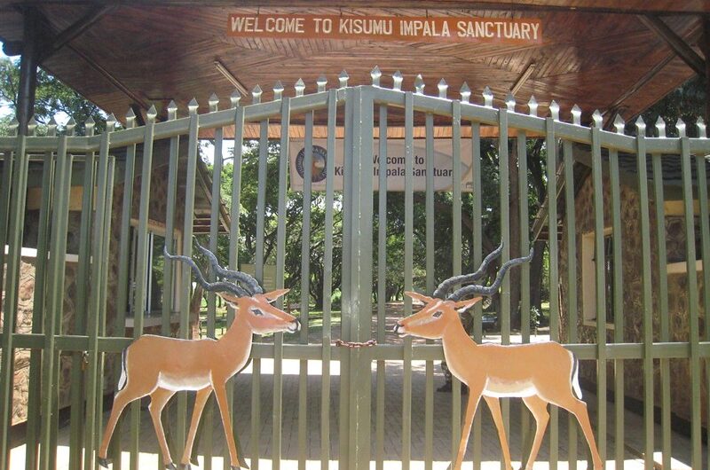 Safaris & Tours to Kisumu Impala Sanctuary – Kenya wildlife Safaris.