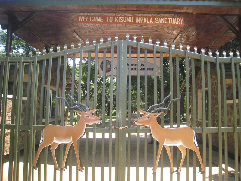 Safaris & Tours to Kisumu Impala Sanctuary – Kenya wildlife Safaris.