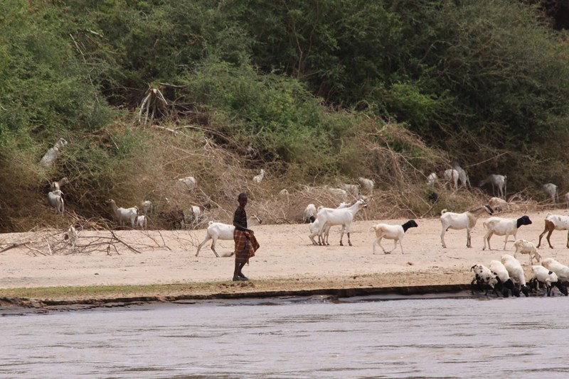 Safaris & Tours to Kora National Park – Best time to Visit and where to stay.