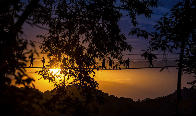 1 Day Nyungwe Canopy Walk Adventure & Experience, Cost.