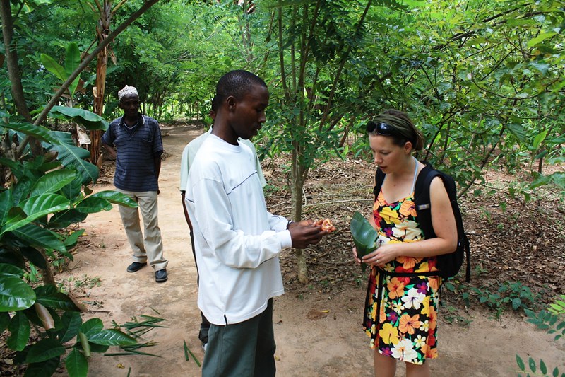 A Complete Zanzibar Spice Tour Guide A Must Do Activity.