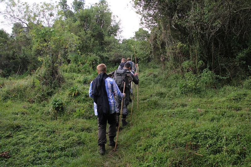 Activities in Mgahinga Gorilla National Park