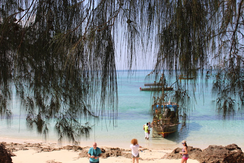 Best Time to Visit Tanzania and Zanzibar - Zanzibar Beach Holidays and Tours.