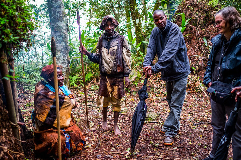 Buniga Forest Trails