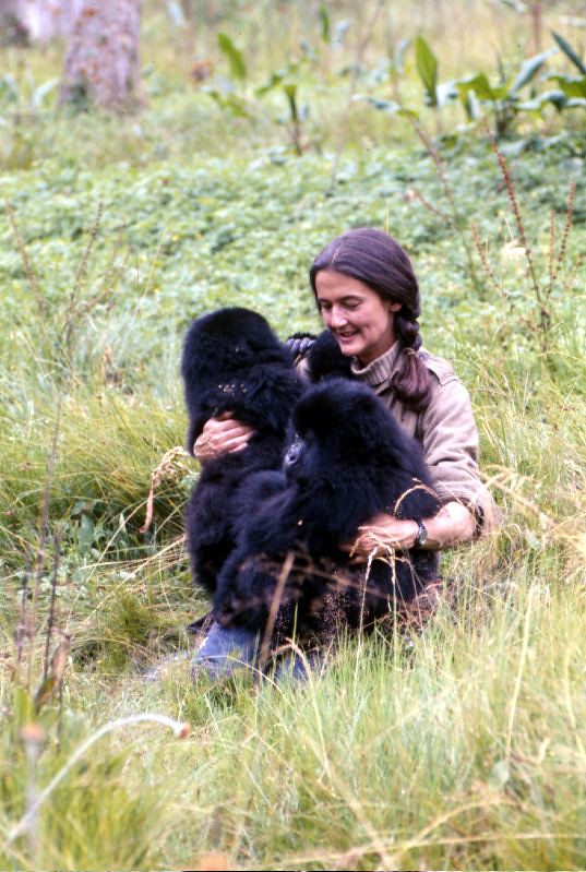 Dian Fossey The American Primatologist