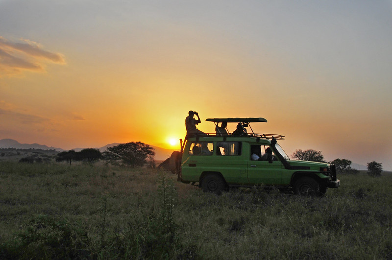 Game Drives and Wildlife Safaris in Kidepo Valley National Park.