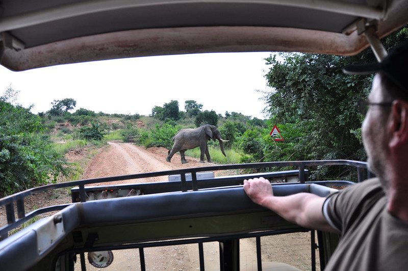 Game Drives at Murchison Falls National Park, A Guide to Exploring Uganda’s Wildlife.