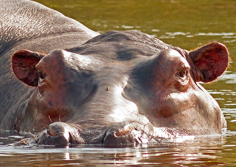 History of Murchison Falls National Park