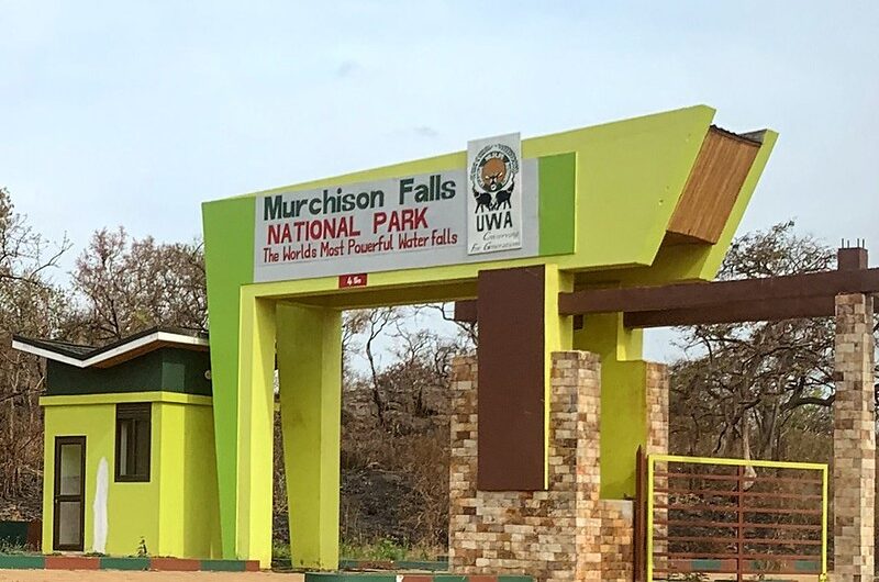 How to Get to Murchison Falls National Park.