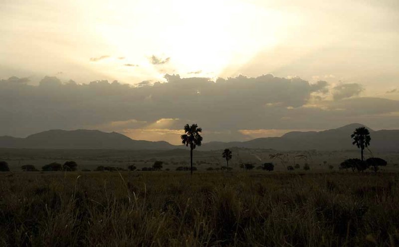 Kidepo Valley National Park