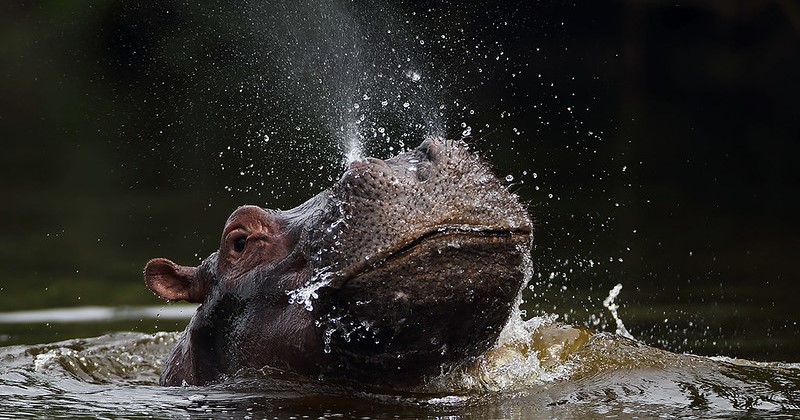 Lake Mburo National Park Uganda Safari