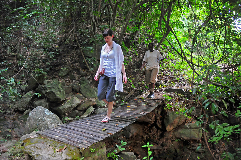 Nature Walks at Murchison Falls National Park - A Guide to Exploring Uganda’s Scenic Wilderness on Foot.