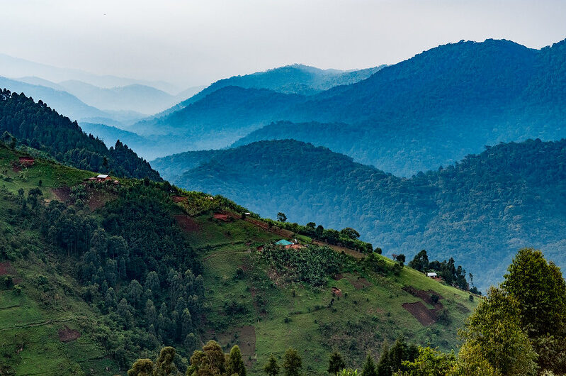 Nkuringo Community Conservation and Development Foundation (NCCDF)