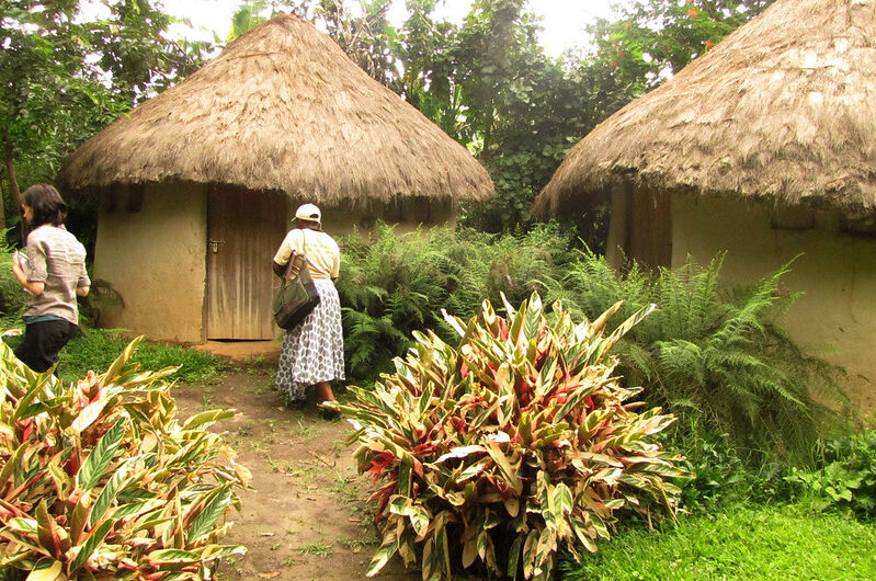 Nyundo Community Eco Trails