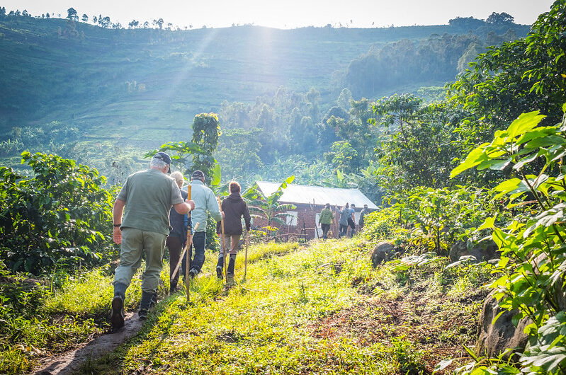 Rules Of Gorilla Trekking