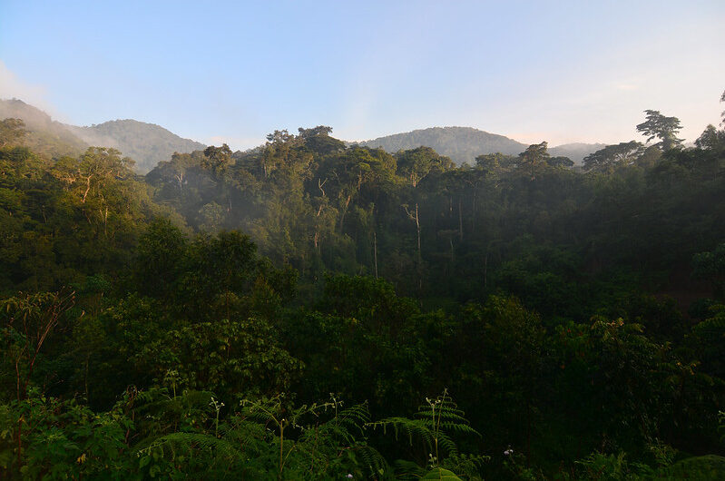 Rushaga Sector Region of Bwindi