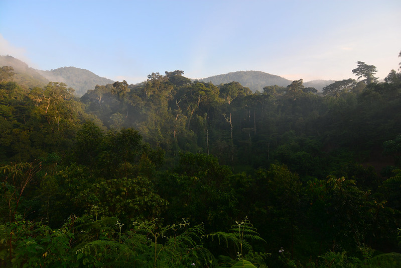 Rushaga Sector Region of Bwindi