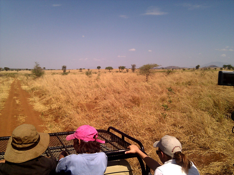 Safari Activities and Things to Do in Kidepo Valley National Park.