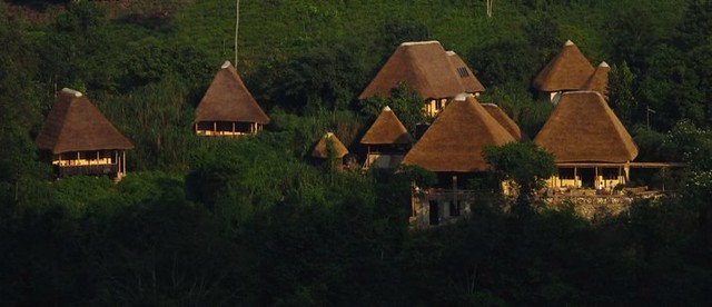 The Gorilla Resort