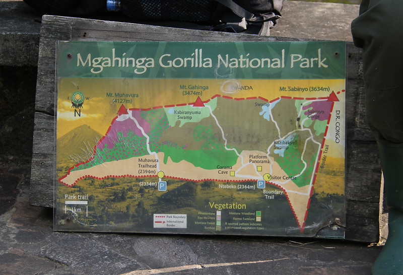 The Mgahinga Gorilla National Park travel route

The southwest region of Uganda is home to Mgahinga Gorilla National Park, which is reachable by road and airplane.

Road transport Using a 4WD safari vehicle, travelers will travel from Kampala or Entebbe to the park headquarters via Masaka, Mbarara, Kabale, and Kisoro. The trip takes approximately nine to ten hours.

Mgahinga Gorilla National Park is also accessible from Kigali, Rwanda. To get there, travelers must fly to Kigali International Airport and then take a safari vehicle across the Cyanika border, which takes roughly three to four hours.

Using air transport to go to Mgahinga Gorilla National Park entails scheduling or chartering aircraft to Kisoro Airstrip with Aerolink Uganda, after which you will connect to the park's headquarters or lodge. For tourists who dislike long-distance travel, air transportation is the greatest choice. Your tour operator can arrange flights.