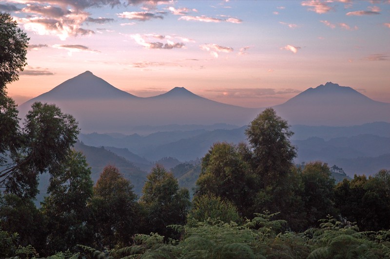 The Virunga Mountains - Gorilla trekking and Hiking tours.