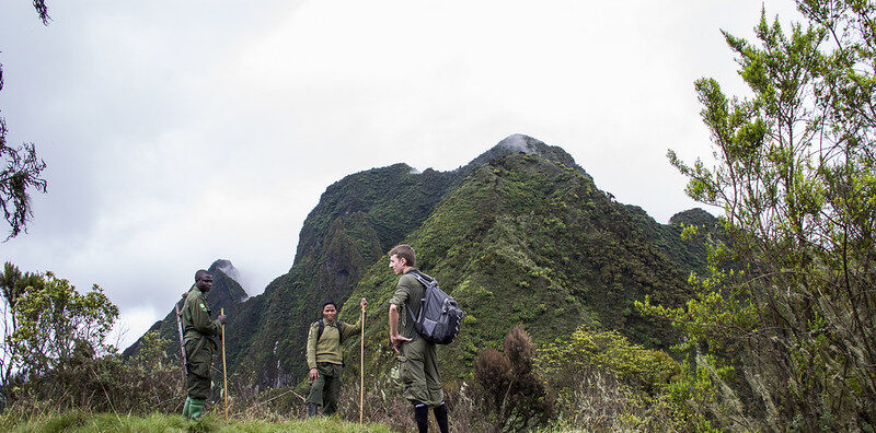 Uganda Hiking Tours in Mgahinga Gorilla National Park