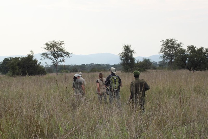 Uganda Nature Walk Safari, Buhoma Community Walk