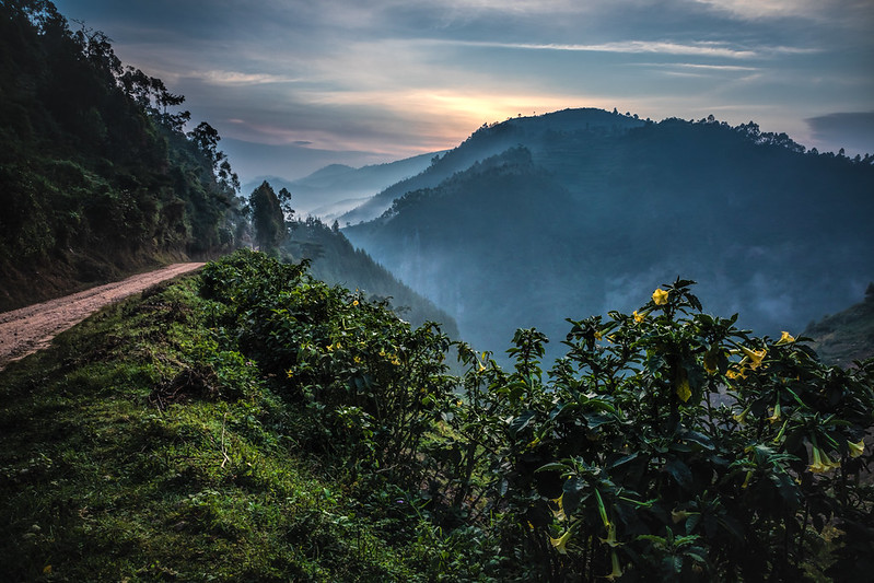 Weather and Climate in Bwindi